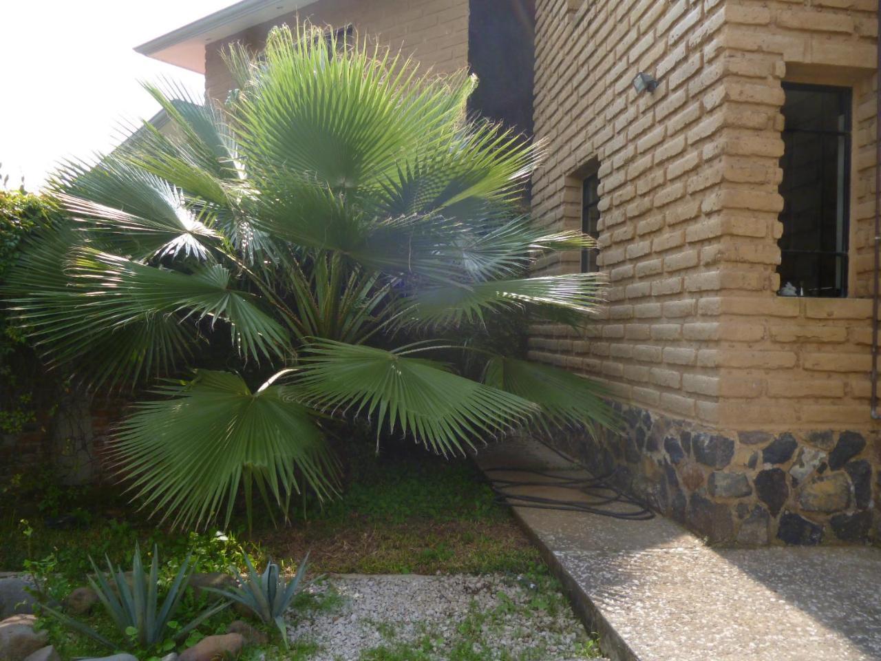 Villa Los Agaves - Hospedería Tlayacapan Exterior foto